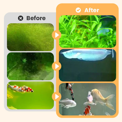 🎉Buy More Save More💥 Algen- & Moosentferner für das Aquarium - Sichere Wasseraufbereitung