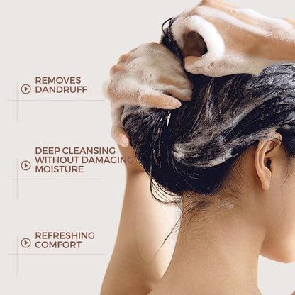 Ingwer Anti-Schuppen Reinigungsshampoo